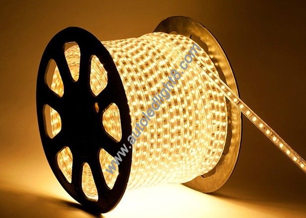 220V Cool/Warm White Red Green Blue 5050 SMD 300 LED Strip Light