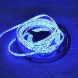 3528 Waterproof IP65 5 Meters/Reel 600 Leds/reel DC12V Blue LED Flexible Strip 