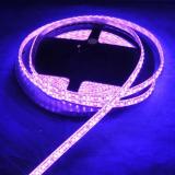 3528 Waterproof IP65 5 Meters/Reel 600 Leds/reel DC12V pink color LED Flexible Strip 