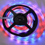 5M 270LED DC12V 12.96W Waterproof SMD 5050 Horse Race RGB Led Strip Light + Horse Race IR Remote Con