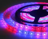 5M 270LED DC12V 12.96W Waterproof SMD 5050 Horse Race RGB Led Strip Light + Horse Race IR Remote Con